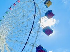 -琴岛之星摩天轮