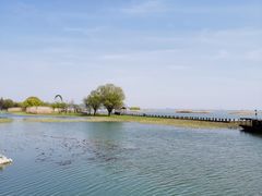 -太湖湖滨国家湿地公园-停车场
