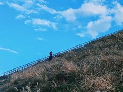 -涉地可支