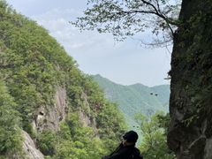 -洛阳白云山景区