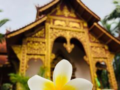 -西双版纳总佛寺