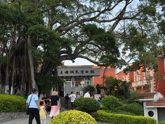 -鼓浪屿钢琴博物馆