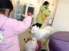 -怪兽屋·羊驼·猫咖·狗咖(俊华广场店)