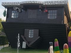 -金山农民画村-枫泾波兰倒置屋
