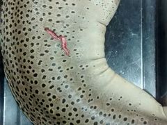 android_upload_pic-潮信鱼头王(西环店)