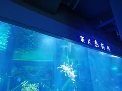 -临沂极地海洋王国