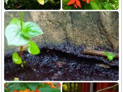 -柬埔寨国家博物馆