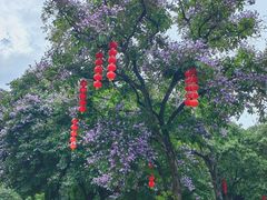 -荔湾湖公园