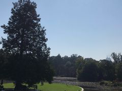-墨尔本皇家植物园