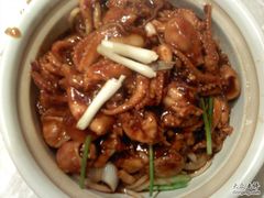 鱿鱼煲-阿英煲(凉城路店)