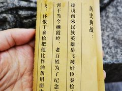 -孙奶奶葱包桧
