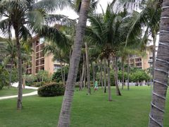 -三亚亚龙湾红树林度假酒店