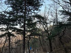 -阳台山自然风景区