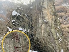 -少华山国家森林公园