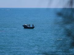 -广东惠东海龟国家级自然保护区