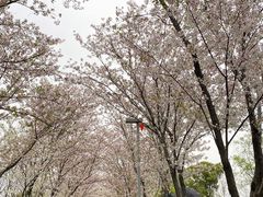 -良渚文化村