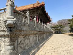 -北陵公园
