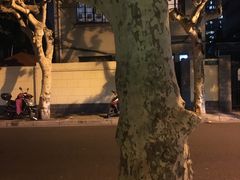 景观位-Apollo·西班牙小酒馆(安福路店)