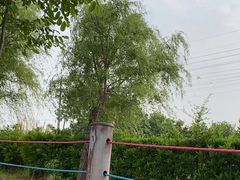-菊园百果园