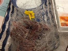 -南山鲜虾面·活鲜小馆·海味大连菜(南山总店)