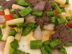 -姚林轩