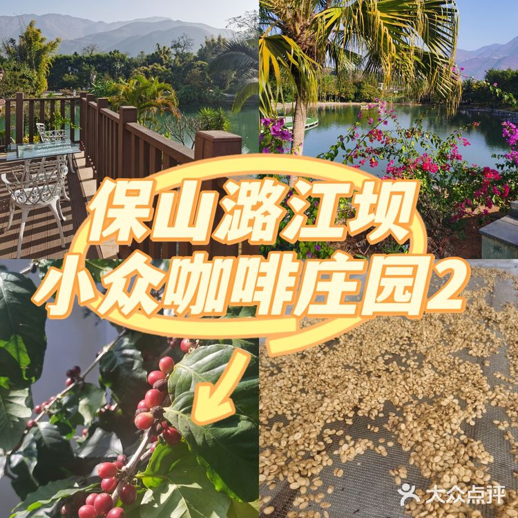 云南保山～潞江坝～小众咖啡庄园2～