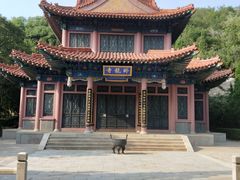 -龙口南山旅游景区