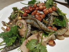 -张记旺角食街(动物园店)