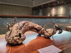 -北京工艺美术博物馆