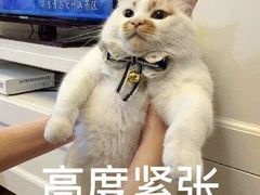 -中田健身工作室(嘉定江桥店)