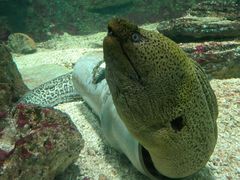 -北戴河圣蓝海洋公园