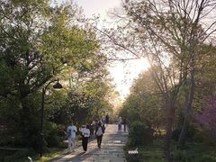 -西溪国家湿地公园