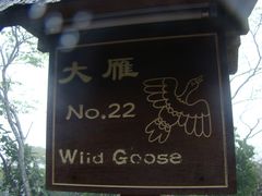 -三亚亚龙湾人间天堂鸟巢度假村