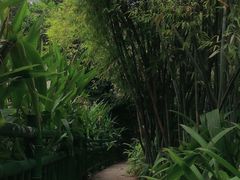 -广州兰圃
