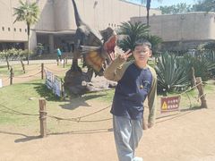 -自贡恐龙博物馆