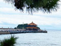 -大锅强·蒸海鲜青岛菜(金沙滩店)