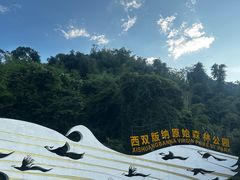 -西双版纳原始森林公园