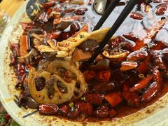 -青城甲(青城山店)