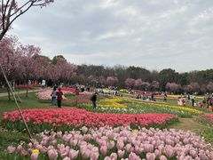 -凤凰沟景区