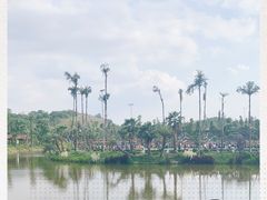 -枫香湖儿童公园