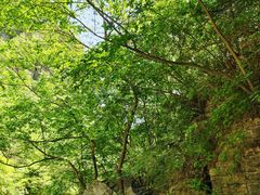 -孤山寨风景区