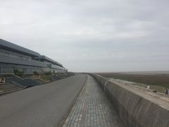 -南汇嘴观海公园