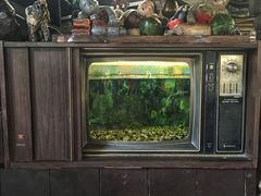 -自然餐厅(Phuket)