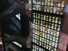 -广东中医药博物馆