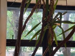 -BOCATA 西班牙餐厅(三里屯店)