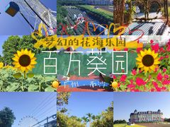 -百万葵园