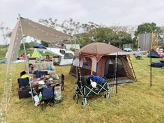 -上海长兴岛郊野公园