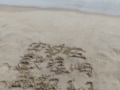 -厦门海底世界