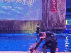 -华夏文旅海洋公园