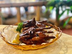 -一煲鸽